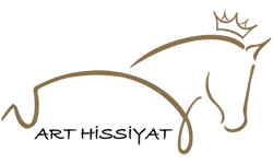 Art Hissiyat logo